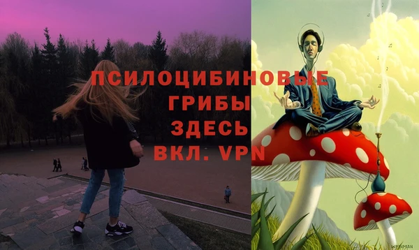 стаф Балабаново