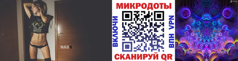 закладки  Барабинск  Псилоцибиновые грибы Psilocybine cubensis 